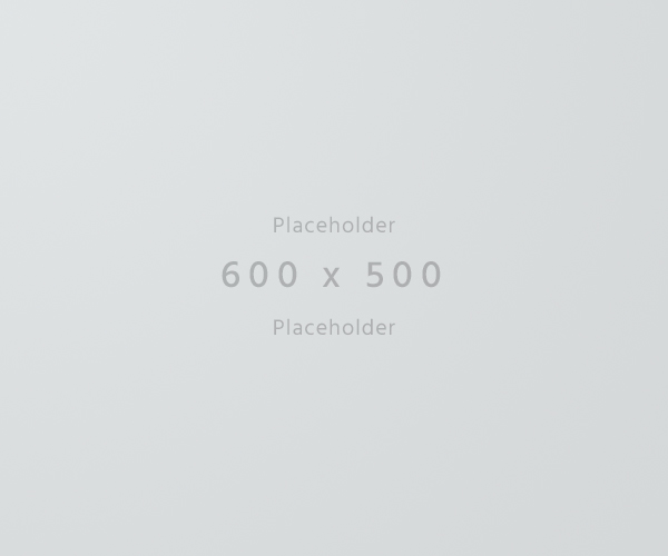 600×500-light