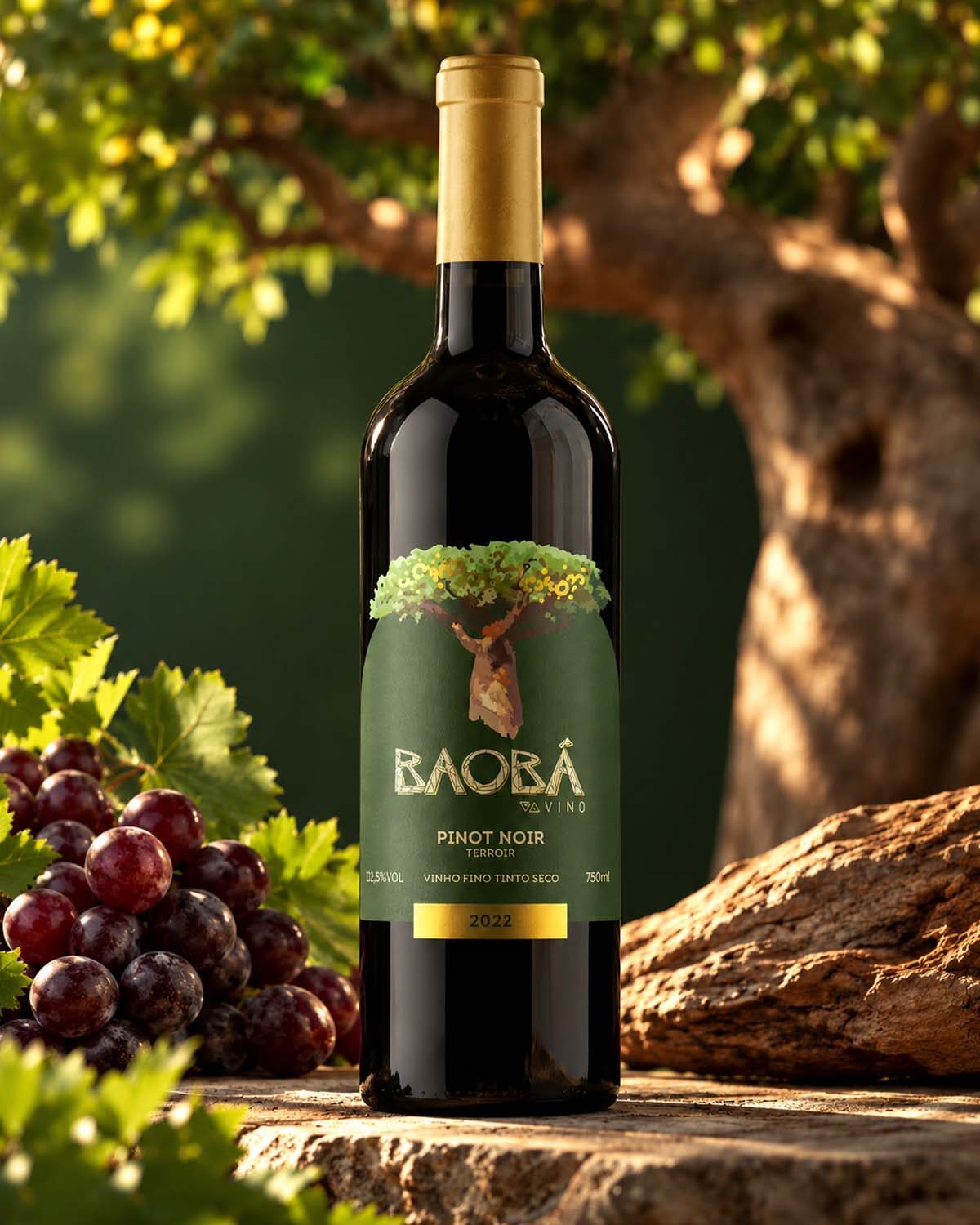 Baobá Vinha Vino